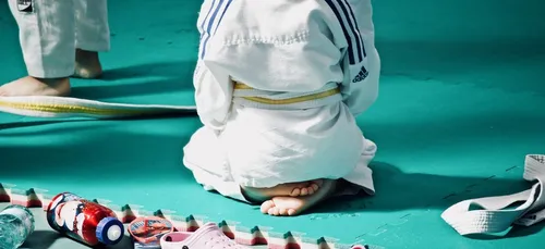 Soupçonné d'agressions sexuelles, un professeur de judo radié par...