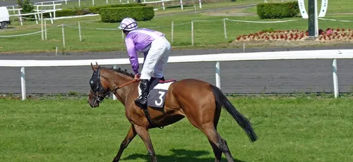 Courses hippiques : neuf personnes mises en examen pour dopage dans...