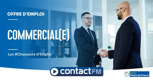 Offre d'emploi: Commercial (h/f)