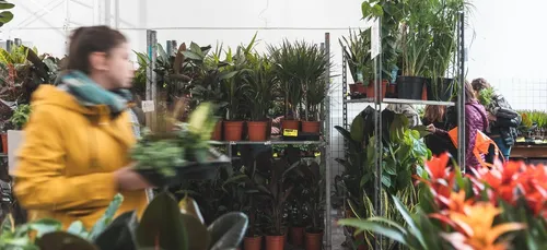 Une grosse vente de plantes à petits prix organisée ce samedi dans...