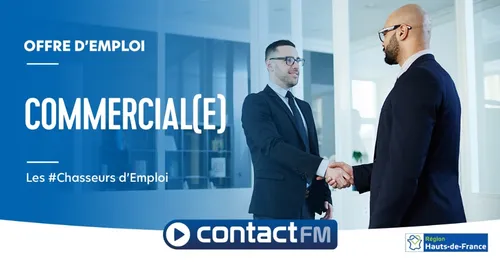 Offre d'emploi: Commercial(e) sédentaire (H/F)