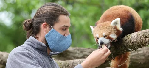 Ecole de soigneurs animaliers dans le Pas-de-Calais : une nouvelle...