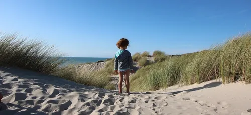 Opération "éTER" : les billets de train à 1 euro mis en vente à...