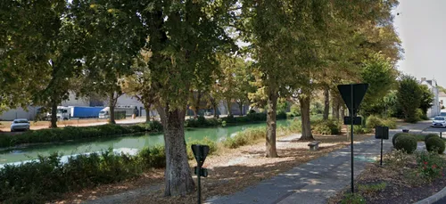 Attention aux empoisonnements de chiens à Aÿ Champagne