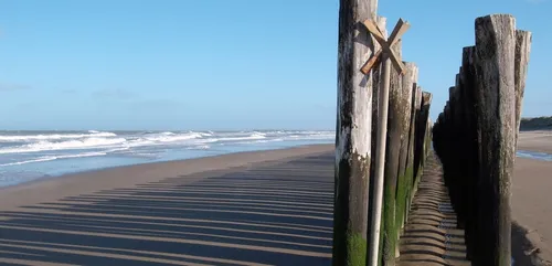 Sauvetage en mer de deux chiens et leur maîtresse