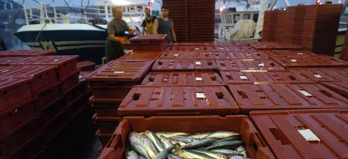Boulogne / Mer: Les pêcheurs ont bloqué l'accès à la criée cette nuit