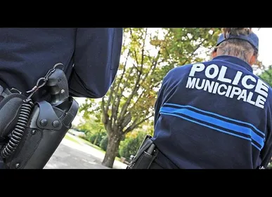 Attention à l'arnaque... à la fiente d'oiseau 