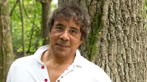 Les concerts de Laurent Voulzy reportés