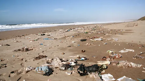 Lutter contre le réchauffement climatique, c’est protéger nos plages !