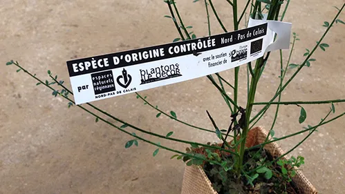 Consommer local, ce n’est pas seulement manger local !