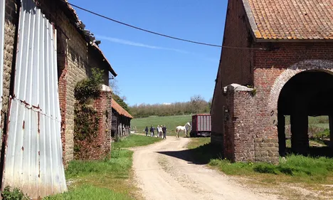 La maison du cheval boulonnais devrait enfin voir le jour !