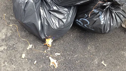 CAPSO : la collecte des déchets reste très perturbée ce mardi