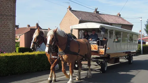 A Bailleul, des chevaux et une calèche remplacent les bus