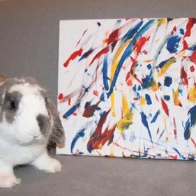 Star du web : Bini le "lapeintre"