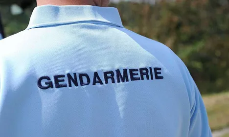 Des serpents et des tortues découverts à Hucqueliers