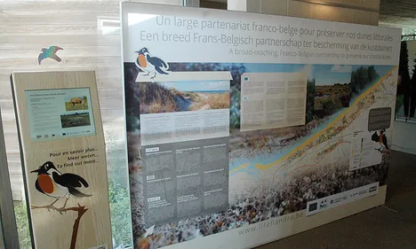 Français et Belges unis pour préserver leurs dunes !