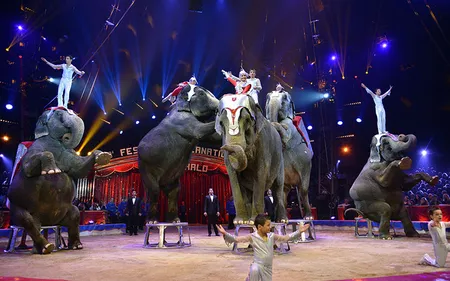 Dépêchez-vous d’acheter vos places pour Longuenesse Générosité !