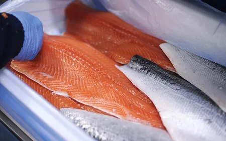 Marine Harvest lance aujourd'hui une campagne de recrutement