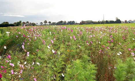 Le département du Nord veut attirer les Lillois en dehors de la...