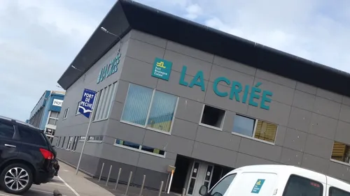 En 2022, le poisson s'est bien vendu en criée, "une très très bonne...