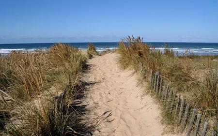 Se balader dans les dunes, ça continue, même pendant les travaux