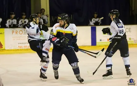 Gravelines face à Strasbourg, Le Portel - Pau, la coupe d'Europe de...