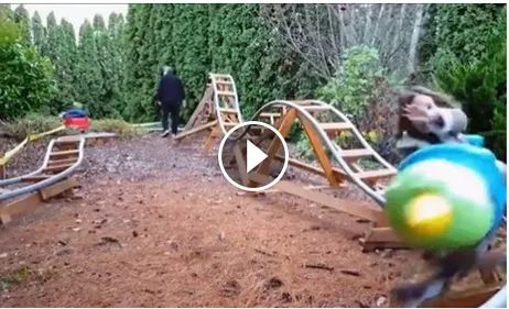 Le meilleur papa (bricoleur) du monde