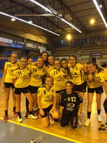 BCM - Chalon, ESSM - Cholet, la coupe de France, le hockey......