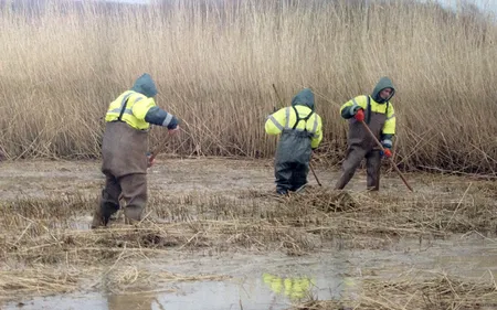 L’association "Rivages Propres" vient de fêter ses 25 ans !