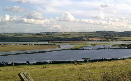 La Slack est polluée, et c’est un peu de votre faute !