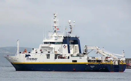 Merlans, harengs, églefins et cabillauds étudiés à la loupe par les...