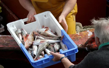 Accusé d’avoir vendu du poisson au black, un mareyeur se défend :...