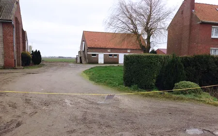 6 000 poulets retrouvés morts ce dimanche dans une exploitation...