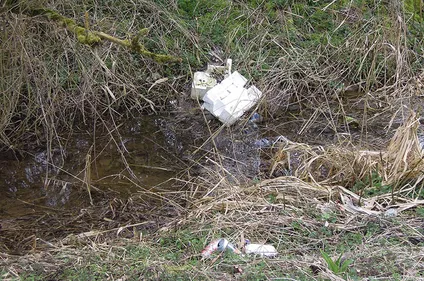 Ce week-end, vous pouvez nettoyer le marais !