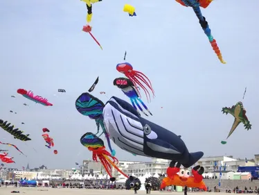 Cerfs-volants, trail, enduro : les autorités soumettent des...