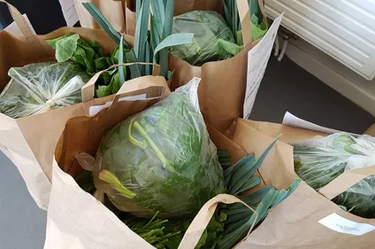 L’AFEJI, les Jardins de Cocagne et la Communauté Urbaine mêlent la...