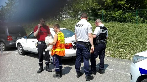 Boulogne : un chien enfermé dans une voiture, la police intervient