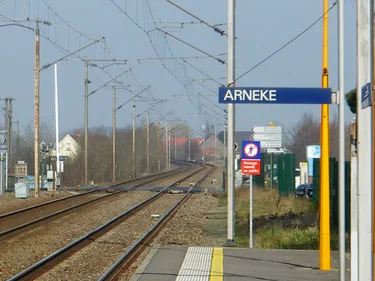 Dans l’arrondissement de Dunkerque, le flamand a la cote