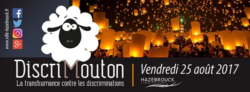 Discrimouton, une transhumance avec des moutons pour lutter contre...