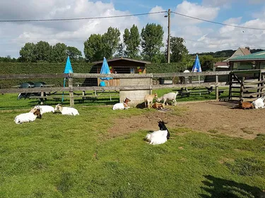 Vos amis à deux et quatre pattes comme chez eux à la colline aux...
