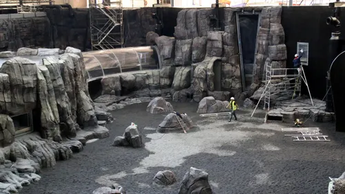 Nausicaa : immersion dans le grand bassin de 10 000 m3, avant le...