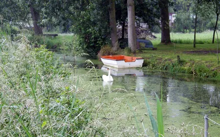 La campagne audomaroise est dynamique !