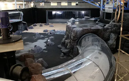 Au fait, comment les poissons vont-ils arriver dans le grand bassin...