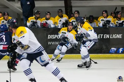 La coupe de France en foot, de la Ligue en hand, la pro A... Les...