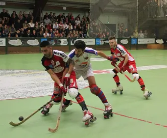 Le Portel face au leader, le BCM contre Bourg, foot, hand, rink......