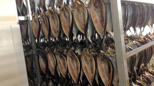 1,5 tonnes de harengs à manger sur le quai Gambetta ce week-end !