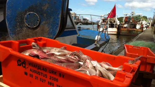 Boulogne toujours 1er port de pêche de France en tonnage
