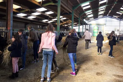 Cassel : des collégiens découvrent la ferme grâce à l’association...