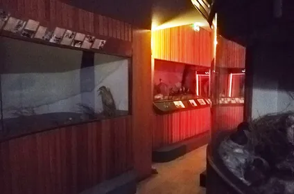 Au musée Henri Dupuis, l’Escape Game fête son premier anniversaire !