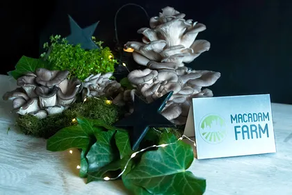 A Boulogne, on se démarque dans l’agriculture locale